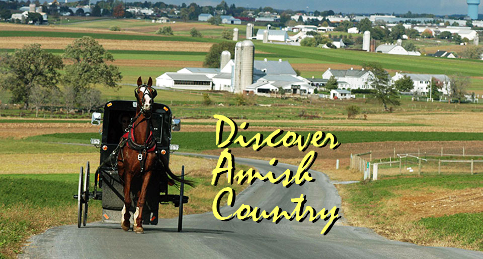 American International Tours Photo of the Amish Countryside and Amish Buggy. PNG Image of the Amish Countryside with an Amish Buggy and an Amish Farmscape in the background.